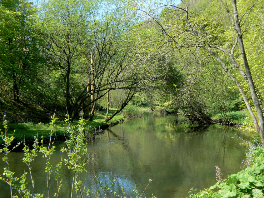 Miller's Dale