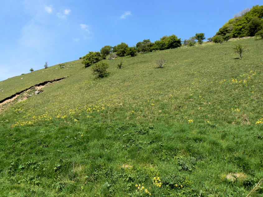High Dale