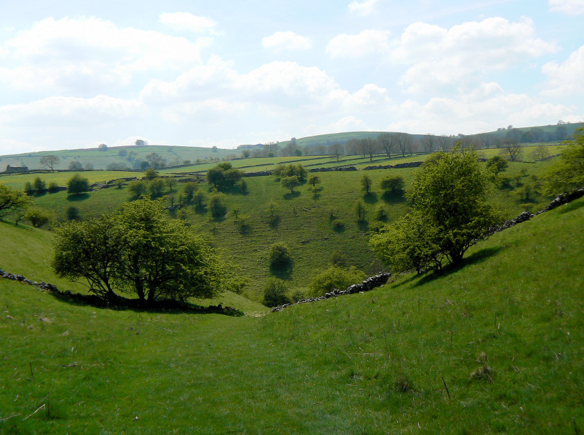 High Dale