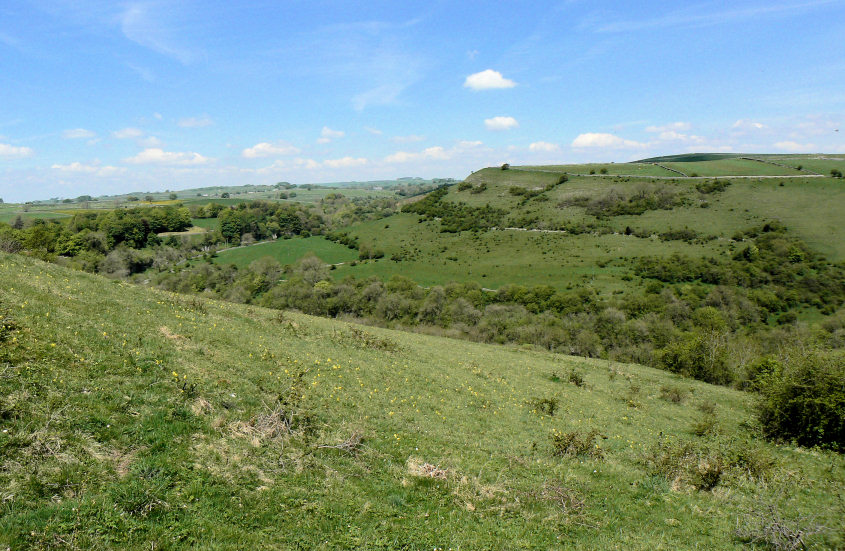 Hammerton Hill