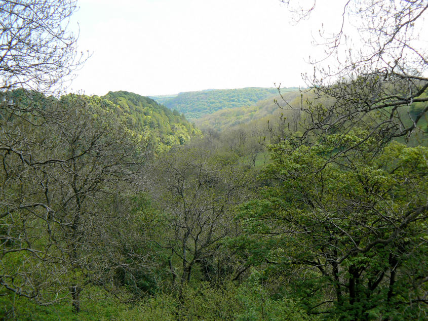 Taddington Dale