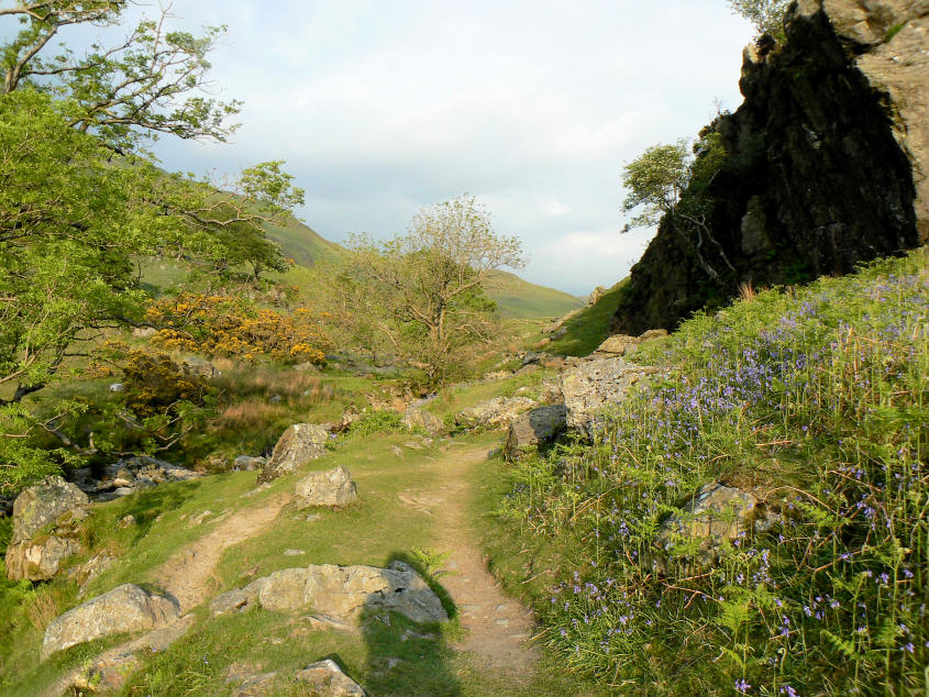 Rannerdale Valley