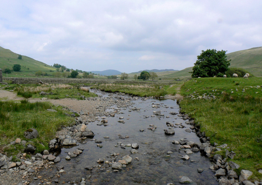 Aira Beck