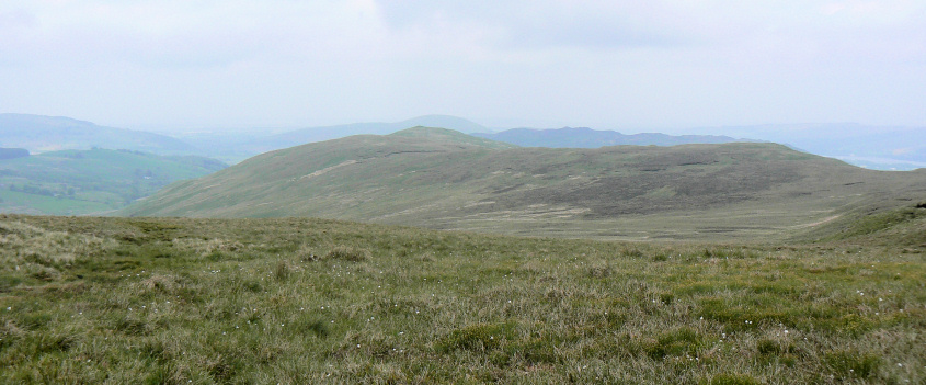 Brown Hills