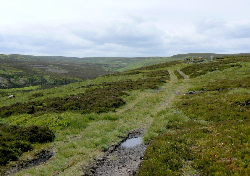 Wicken Hill