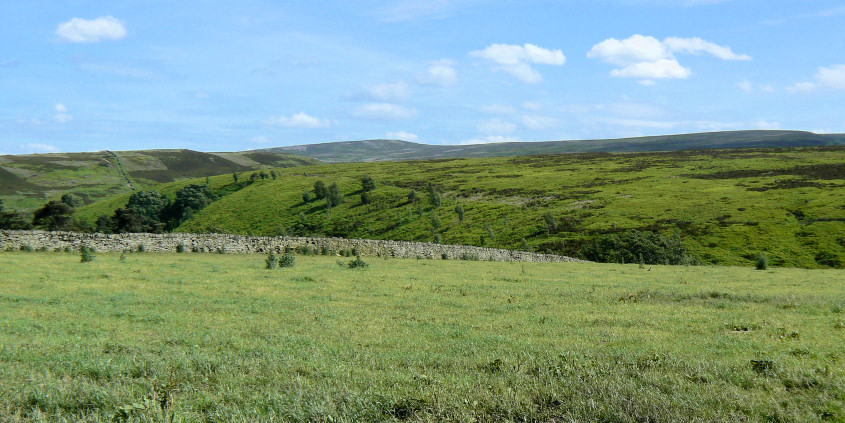 Bradshaw Hill
