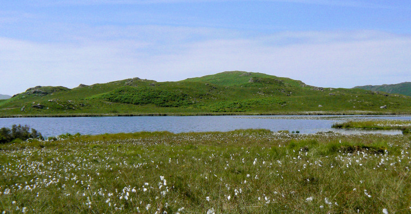 Eel Tarn