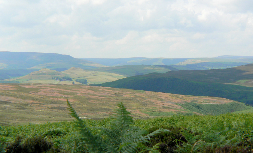 Crook Hill