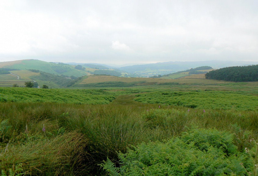 Sheepwash Bank