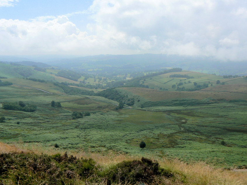 Sheepwash Bank