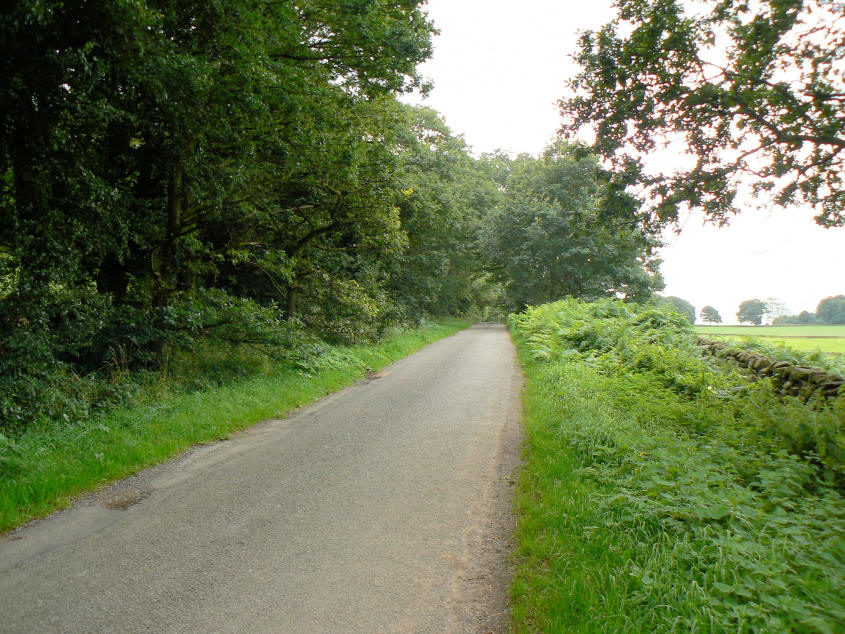 Bent Lane