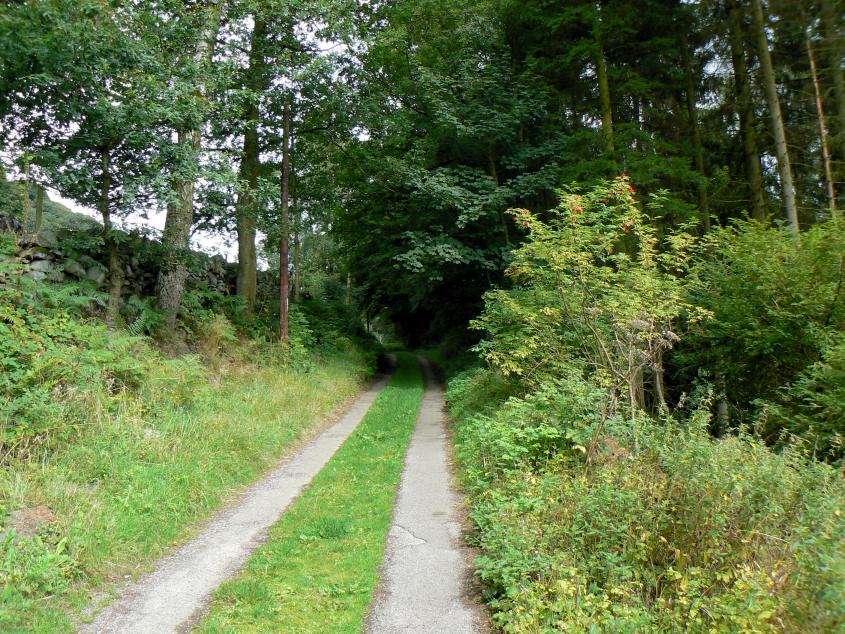 Hall Dale