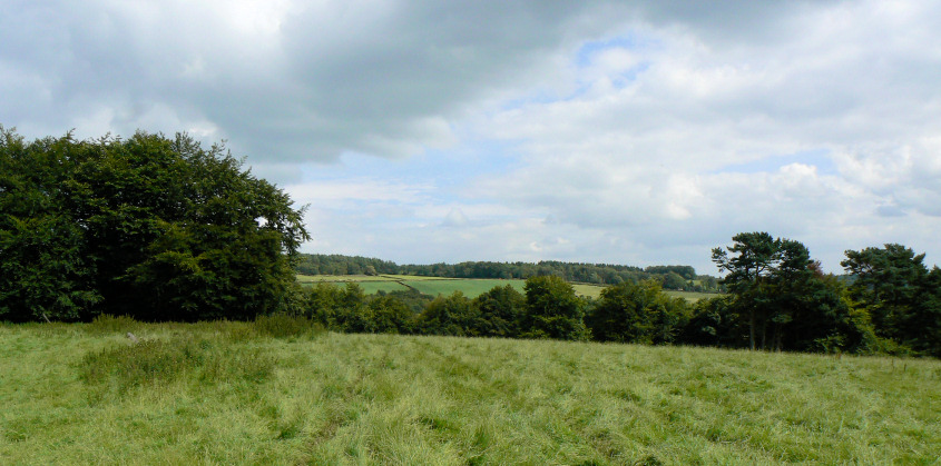 Seventy Acre Plantation