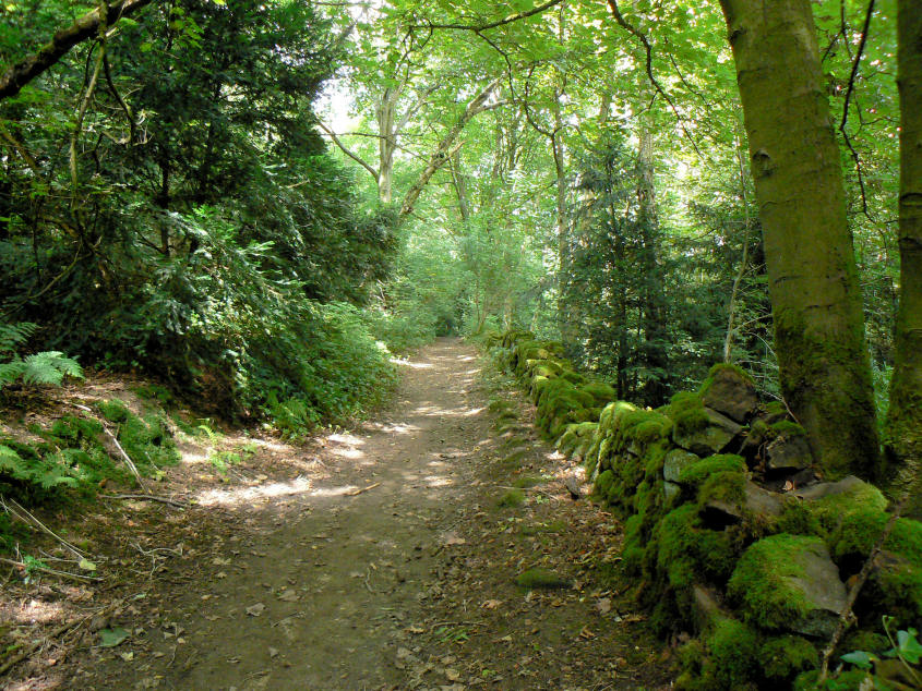 Hall Dale