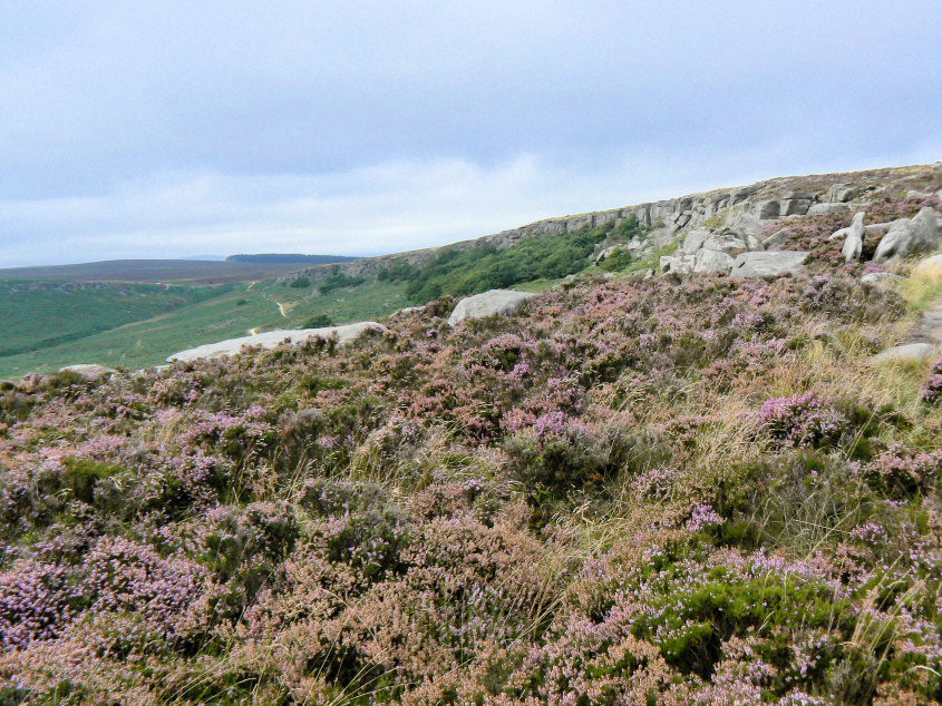 Burbage Rocks