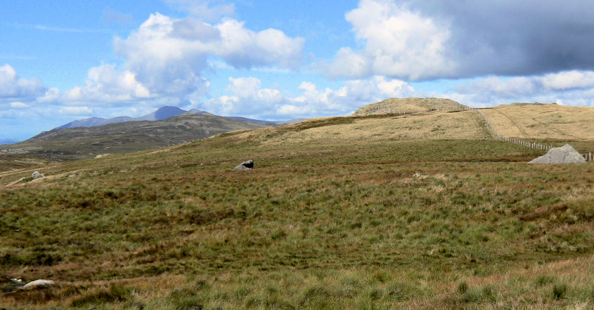 Shivery Knott
