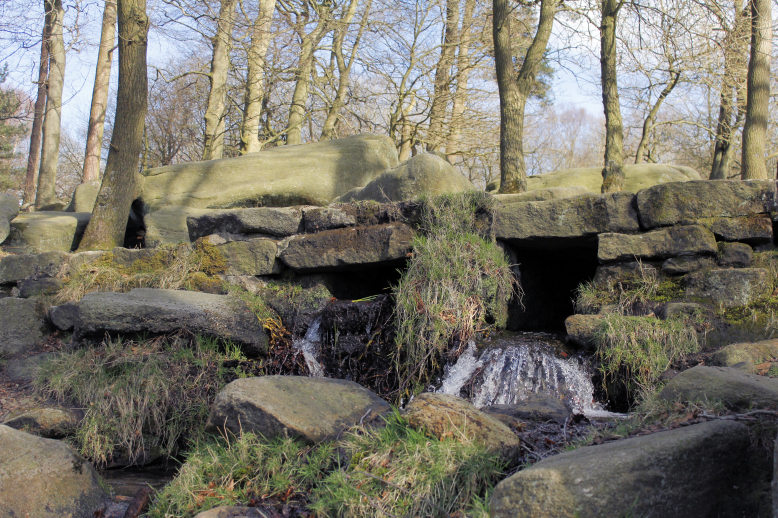 Longshaw Estate
