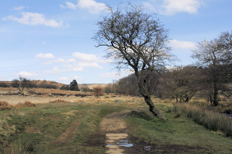 Longshaw Estate