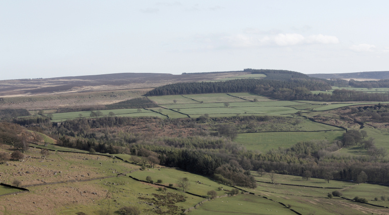 Gibbet Moor