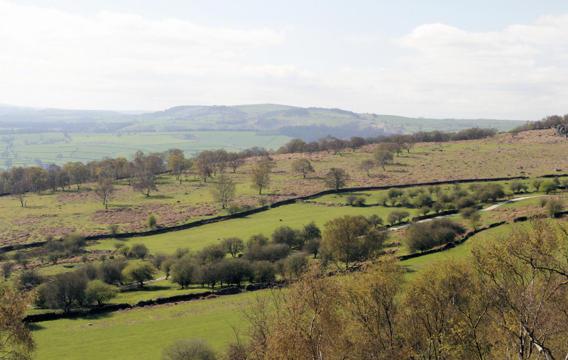 Longstone Edge
