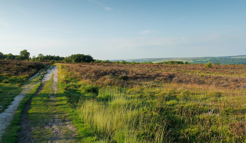 Stanton Moor