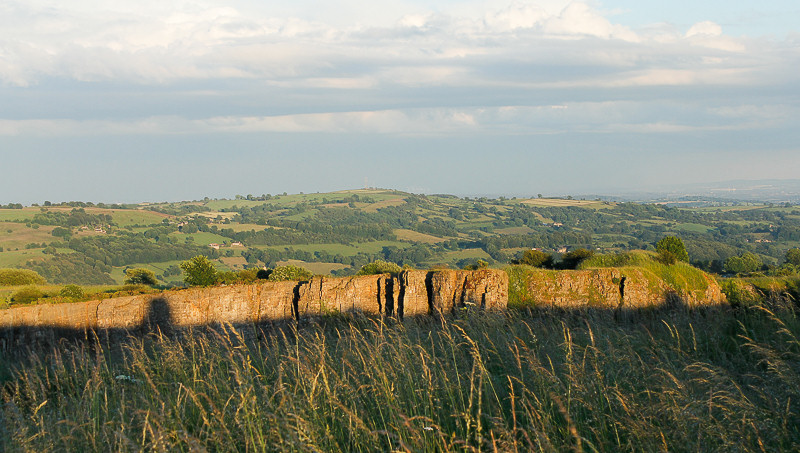 Alport Stone