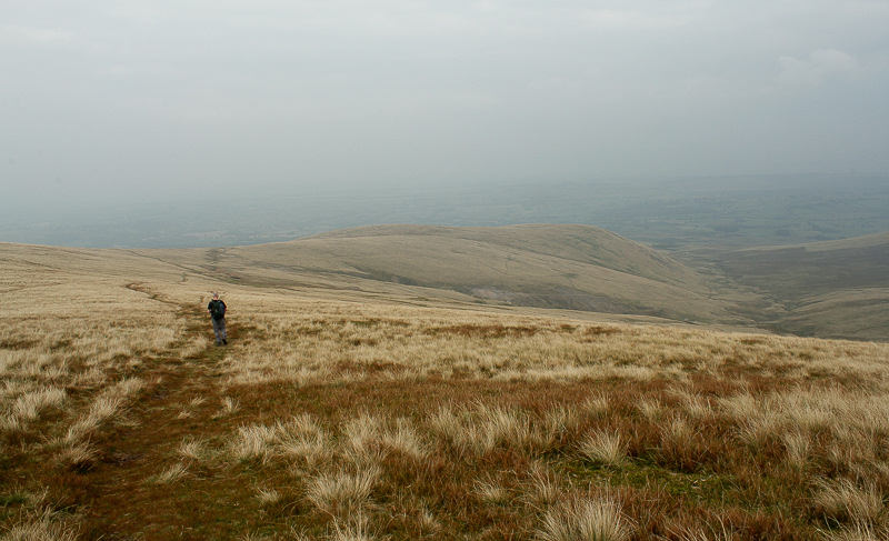 Old Fell