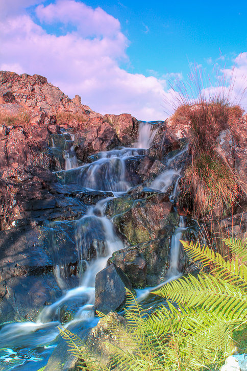 Linbeck Gill