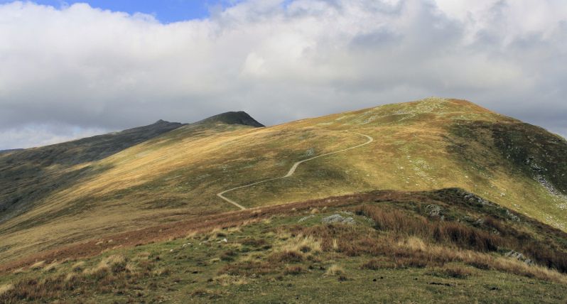 Buck Pike