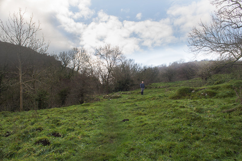 Taddington Wood