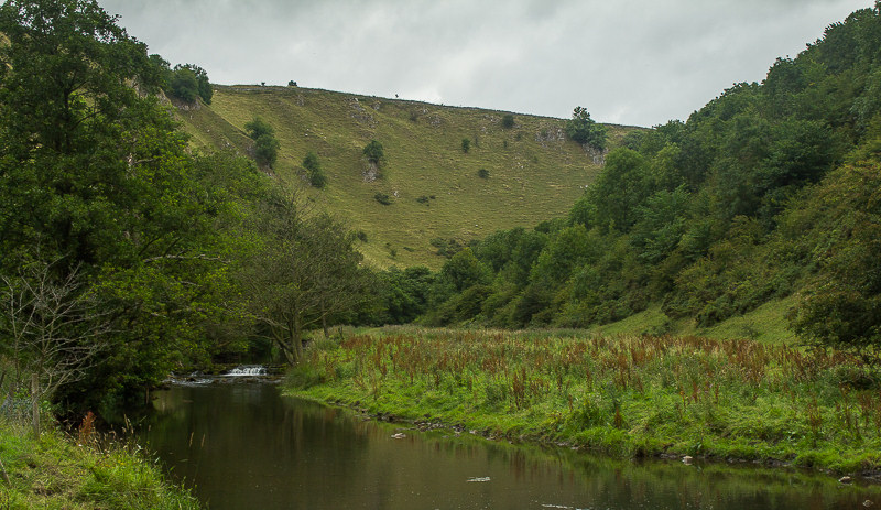 River Dove