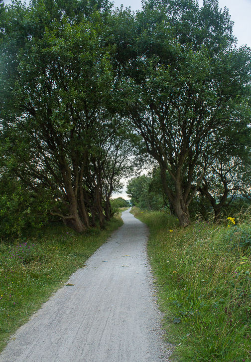 Tissington Trail