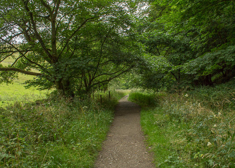 Wolfscote Dale