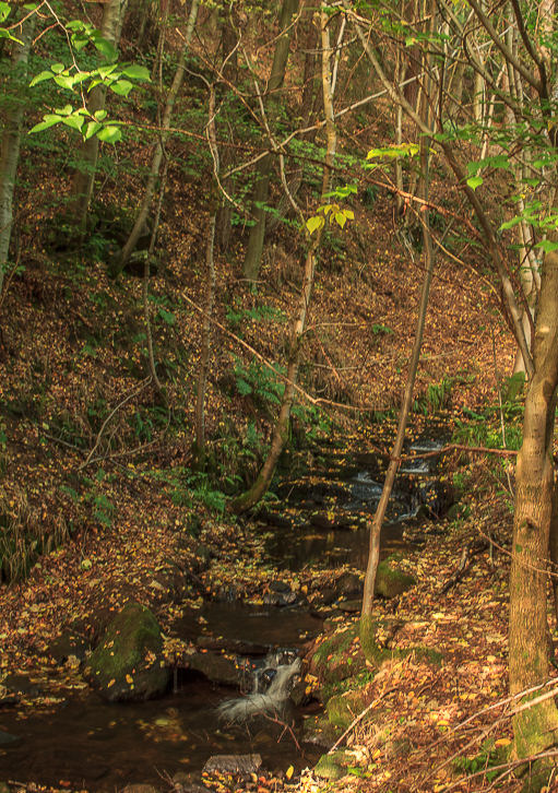 Beeley Brook