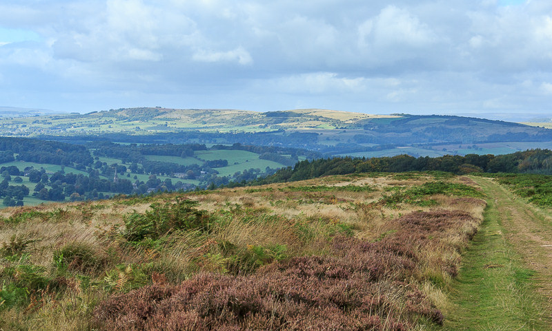 Longstone Edge