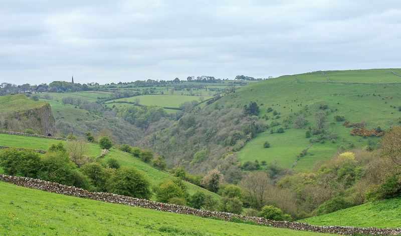 Butterton