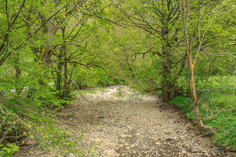River Manifold
