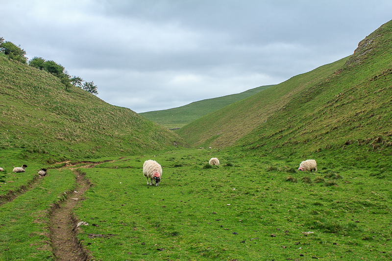 Wetton Hills