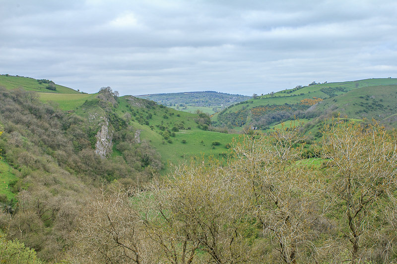 Manifold Valley