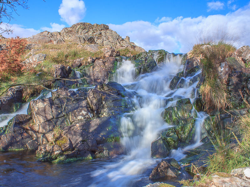 Linbeck Gill