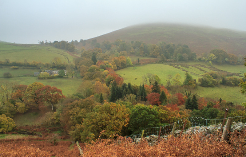 Ling Fell