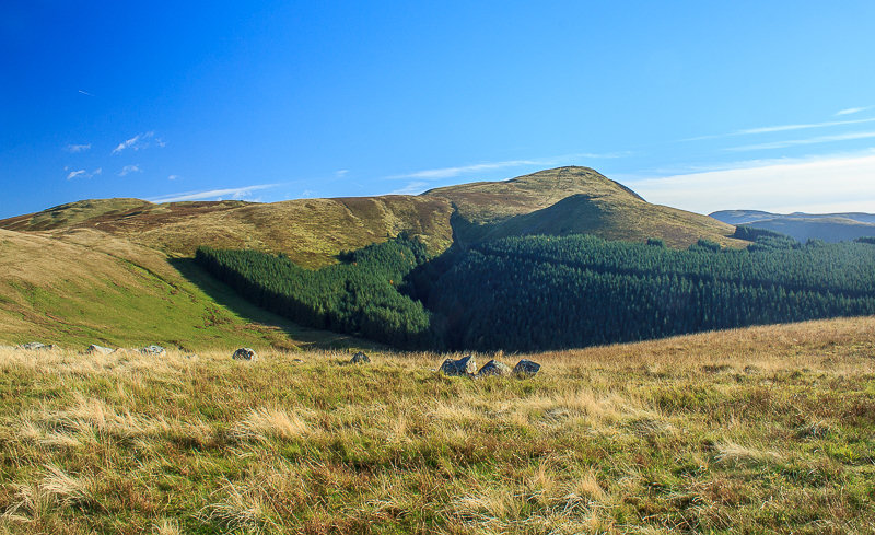 Sharp Knott