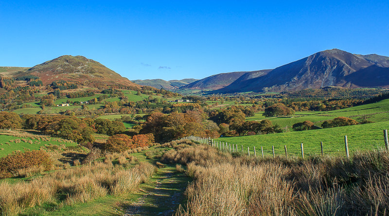 Lorton Vale