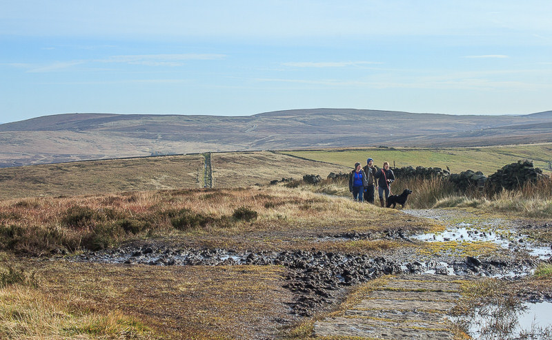 Shining Tor