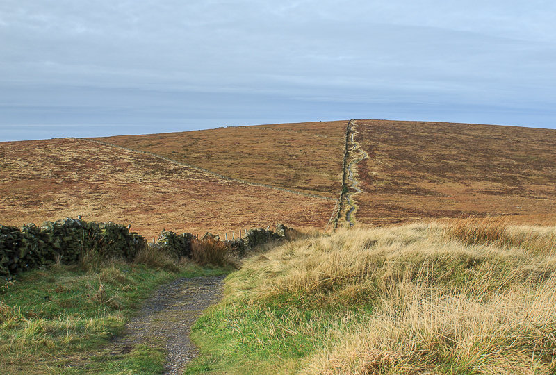 Shining Tor