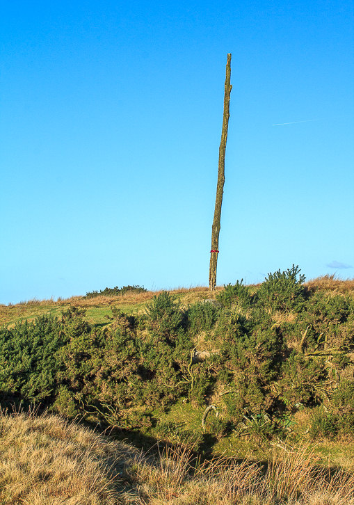 Wooden Pole