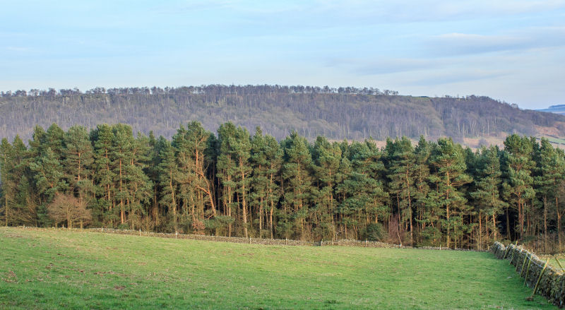 Gardom Edge