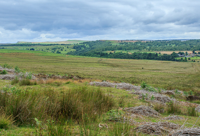 Gibbet Moor