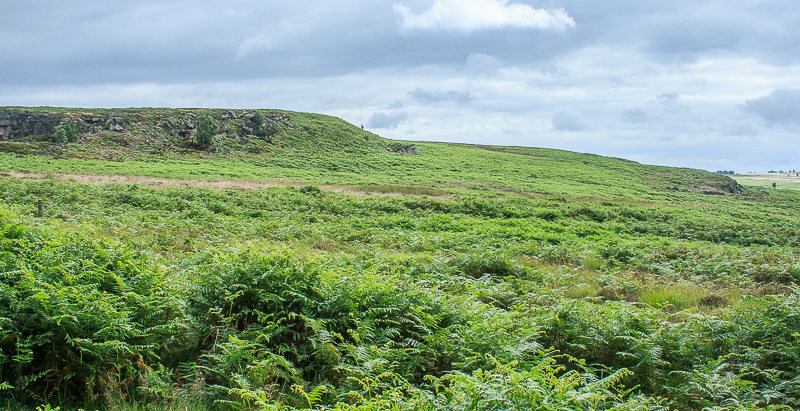 Harland Edge