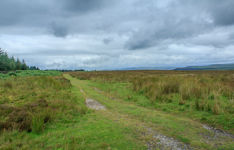 Gibbet Moor